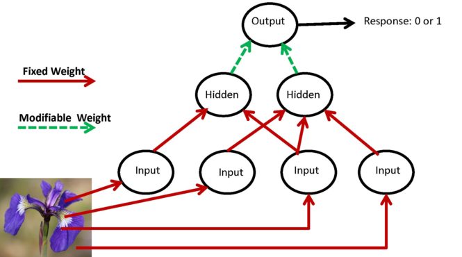 Multilayer feedforward neural network for binary classification.