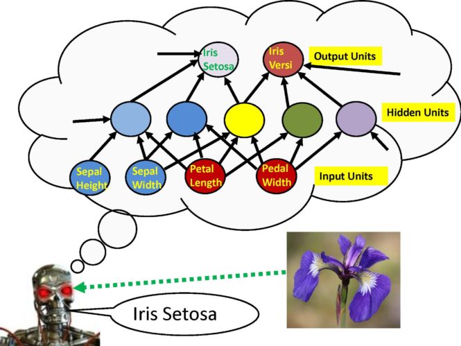 Gaussian mixture model and multilayer radial basis function machine learning software.