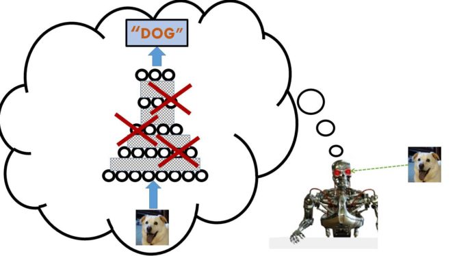 What robot is thinking when it classifies a dog image as the word dog.