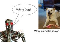A robot describing an image of a dog and a toy in answer to a question.