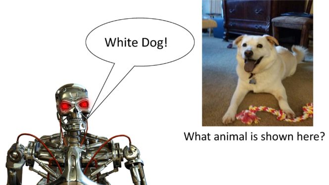A robot describing an image of a dog and a toy in answer to a question.